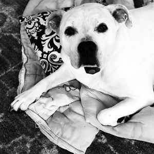 Meet your Posher, Cheryl